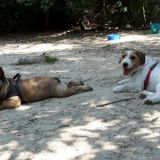 Bulli und Basti
